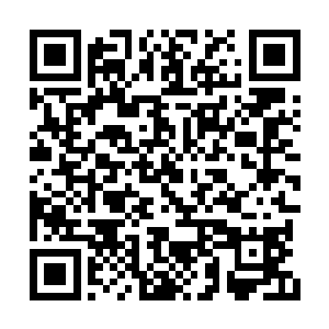 最终交战双方的罢手不是因为伊拉克获得了胜利二维码生成