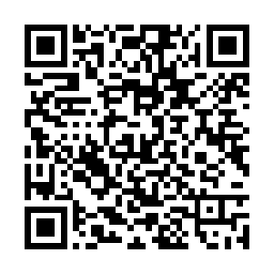 最终他们在四分之一决赛中输给了葡萄牙的波尔图二维码生成