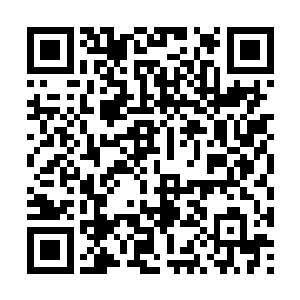 最终决定第二天去公司了一定要好好的问问赵纯良二维码生成