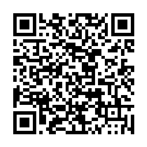 最终却因为当日大劫所留下的隐患止步于界主初境二维码生成