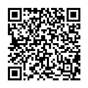 最终却在宸王那双隐含威胁的目光之下老实地缩了缩脖子二维码生成
