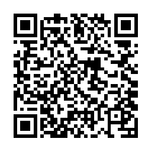 最终只是抓着夏云杰的手重重地在他的手背上拍了拍二维码生成