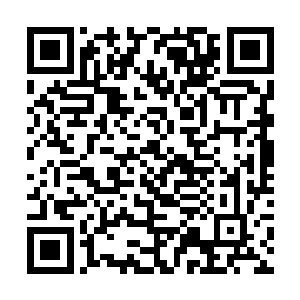 最终在山庄正中央的那座气势宏伟的大殿外停了下来二维码生成