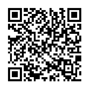 最终她只能在家族的安排下嫁给一个不喜欢的夫君二维码生成