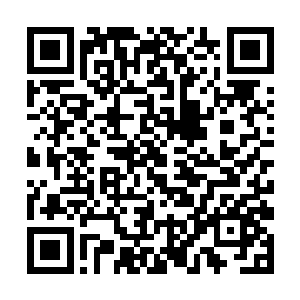 最终射在了吴岩身后数百丈远的一片火属性丛林之内二维码生成