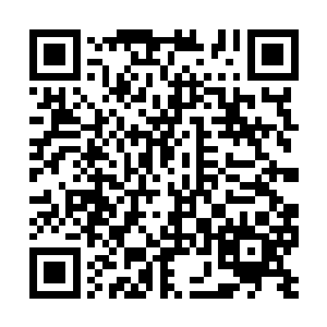 最终就宛如是形成了一柄巨剑斩在羊家的府邸之上二维码生成