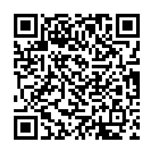 最终形成一个巨大的包围圈将整片虫云给圈禁了起来二维码生成