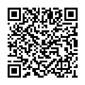 最终得出的结论也无非是妇人孺子皆知权衡利害二维码生成