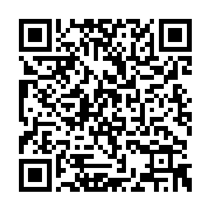 最终所有的强者用献祭的方式才召唤出未来之路二维码生成