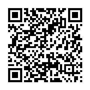 最终江逸再次消耗一枚火灵石把这几十人轻松烧死二维码生成