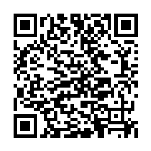 最终沈悟本也还是无奈的松开了手……毫无疑问二维码生成