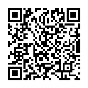 最终没有感应到那些混沌兽血肉向着自己的身体汇聚二维码生成