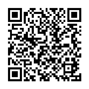 最终的决战依然是打到了第五场了……比武的最终结果如何二维码生成