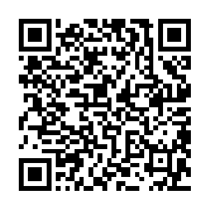 最终的结果还是要看上周排行榜前四名作品的表现来决定二维码生成