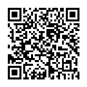 最终还是不可避免的陷入四尊小主宰境强者的包围圈之中二维码生成
