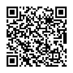最终还是动用了入魔之后的杀手锏才得以金蝉脱壳二维码生成