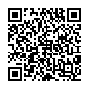 最终还是在家中机器人的通知下了解到现在白露星的各种情况二维码生成
