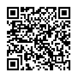 最终还是在支付了天价的赔偿金后才总算得到了自由身二维码生成