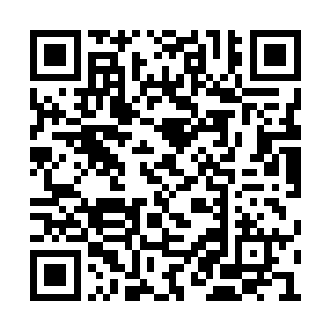 最终还是把之前花爷品过的那坛酒拿了出来待客二维码生成