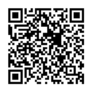 最终还是由站在那里为蒂姆・库克讲解的斯科特率先点了点头二维码生成