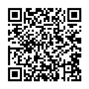 最终还是选择了将两千点经验投入了游侠等级上二维码生成