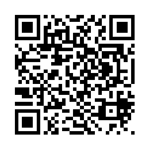 最终还是选择拒绝了心魔魔兽的建议二维码生成