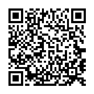 最让人郁闷的是她后来变本加厉地看着别人就要扑上去抓咬二维码生成