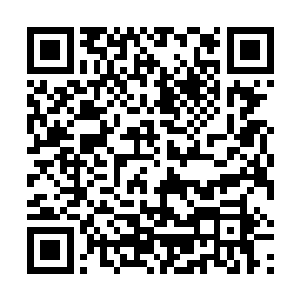 最让他怒火中烧的则是各大家族的烦躁情绪越来越严重二维码生成