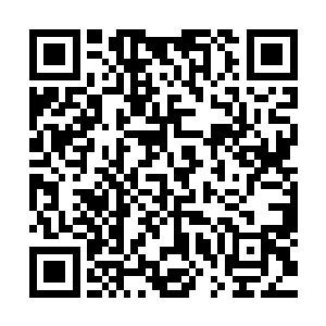 最让我动容的时刻是贝瑟尼半夜恶梦醒来后哭着哀求上帝显灵二维码生成