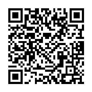 最起码九门提督直属三万那是一兵一卒都未调动二维码生成