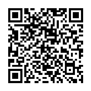 最起码也要将自己损失的两道灭蒙金翎给补偿回来二维码生成