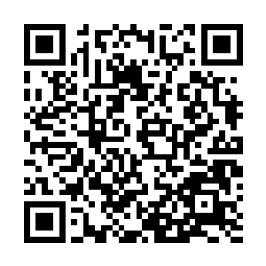 最起码吸收了那些力量之后你的宠物的修为一定可以暴涨二维码生成