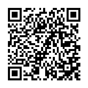 最起码我等年轻的时候可没有你这般风姿多彩的生活二维码生成