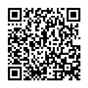 最起码眼前这个域外天魔对她已经没有了什么帮助二维码生成