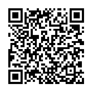 最起码眼前这位好莱坞的演员对自己并没有恶感二维码生成