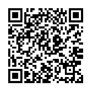 最起码能让天元家族能在平天神国内稳稳当当的传承下去二维码生成