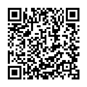 最近一直以来朝堂上关于海禁分为了两个截然对立的派别二维码生成