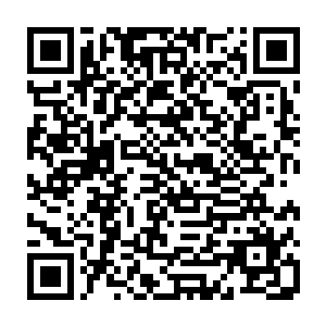 最近他们在天空之上看到了一团不一样的陨石坠落到了这三分之一禁地之中二维码生成