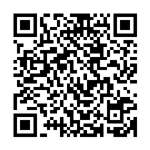 最近似乎听说凤家的二女儿在凤桐县祖宅里被一场大火给烧死了二维码生成