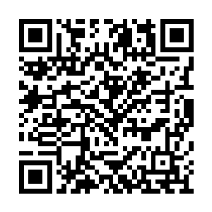 最近使用英雄记录更是几乎清一色的全是奥巴马二维码生成