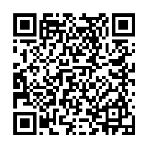 最近又会有新一个开源专门给你……等你是地仙时二维码生成