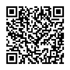 最近在蛛帝的领地上突然出现了一个神秘的女人二维码生成