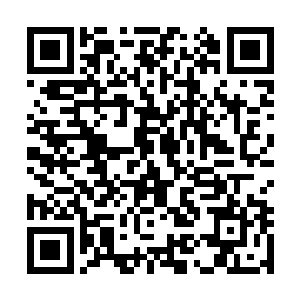 最近在rank中被他打爆过的职业选手一只手还真数不过来二维码生成