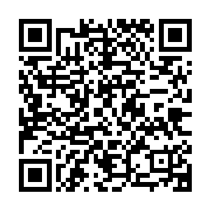 最近处的冰灵竟然像飞蛾扑火一样奋不顾身地向那朵冰焰上撞去二维码生成