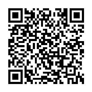 最近她居然学会让自己的尖牙如钻头般自动钻头二维码生成