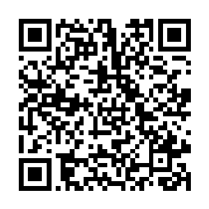 最近展开一次全国范围内的声势浩大的专项督导工作二维码生成