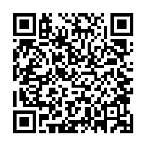 最近整个文涂县的格局都因为一个人的到来而发生着变化二维码生成