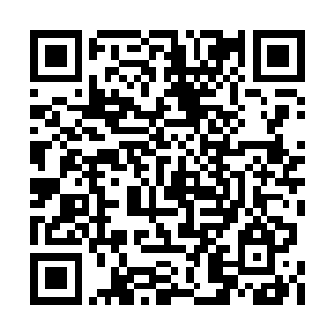 最近甚至琢磨着从南边小国挑几个妾室送进府来二维码生成