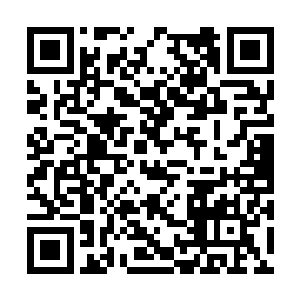 最近的一颗魂劫果是张铁在地元界中吃到肚子里的二维码生成