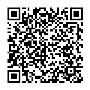 最近陆家派出了大量的人分散在各处秘密寻找这两个來历不明的人二维码生成